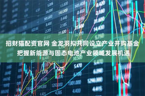 招财猫配资官网 金龙羽拟共同设立产业并购基金 把握新能源与固态电池产业领域发展机遇