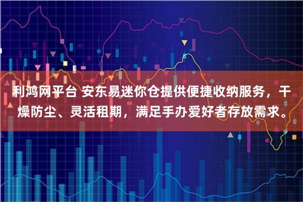 利鸿网平台 安东易迷你仓提供便捷收纳服务，干燥防尘、灵活租期，满足手办爱好者存放需求。